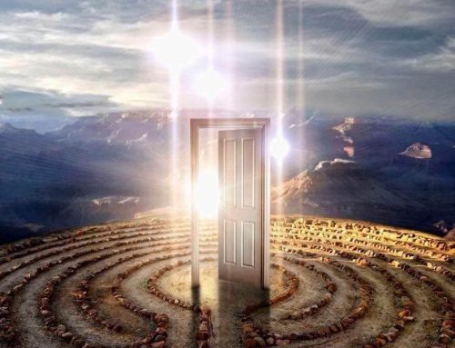 Psychedelic Mushrooms & Enlightenment: A Sacred Path Back