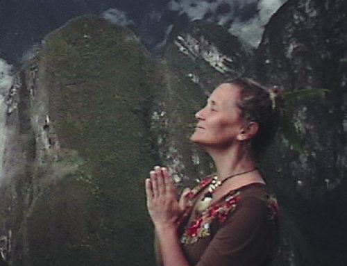 Women and the Rise of Plant Medicine