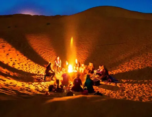 Women’s Healing with Psilocybin: Releasing Generational Trauma