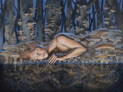 psilocybin mushrooms