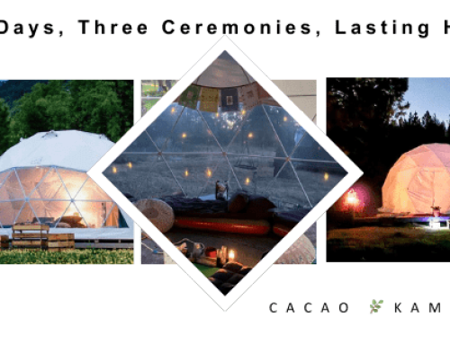 Safe and Guided Psilocybin Retreats: Healing Journey