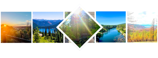 Ceremonial altar with candles and mushrooms, symbolizing psilocybin healing