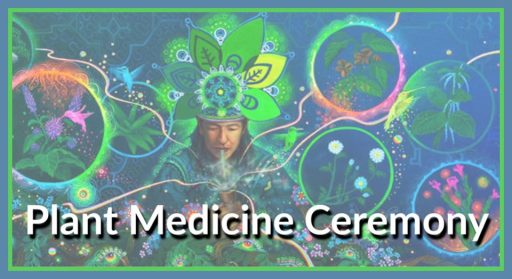 Participants sitting in sacred circle during a guided psychedelic therapy retreat in nature.