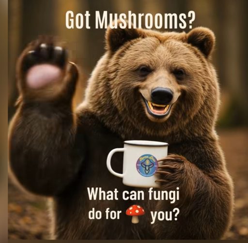 microdosing mushrooms
